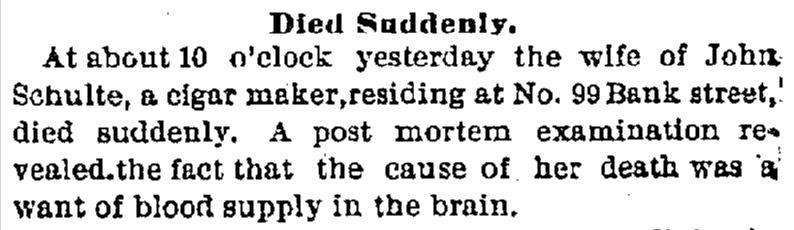 Death of Christena Schulte - Thursday February 28 1878 Cincinnati Daily Gazette